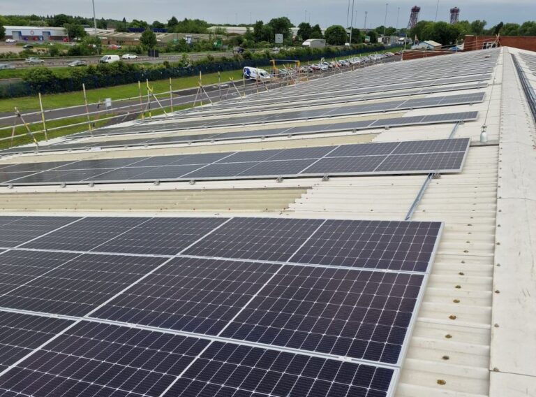solar-for-business-how-harvey-electrical-services-can-empower-your-company-with-renewable-energy